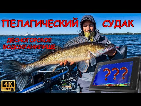 Видео: Ловля пелагического судака.  Garmin LVS 62