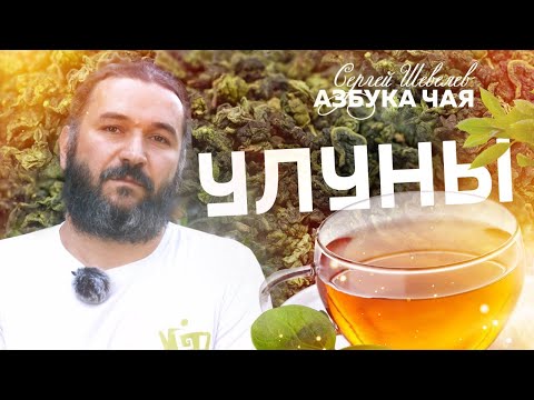 Видео: Китайский чай улун. Азбука Чая