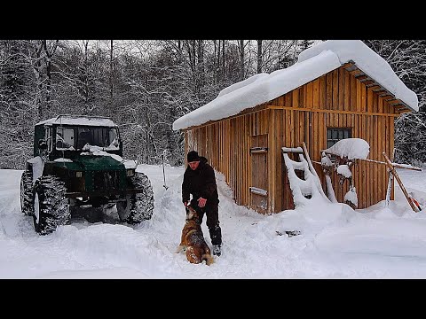 Видео: Живу ОДИН в ТАЁЖНОЙ ИЗБЕ. Алтай ПРОПАЛ в лесу. Привёз мотобукс SHARMAX с магазина Глобал драйв