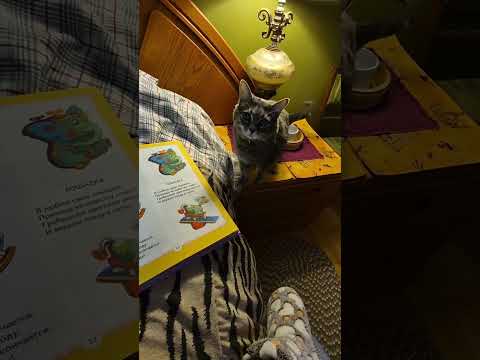 Видео: Аудио.  Сказки с Кисей и Басей. Разные стихотворения 