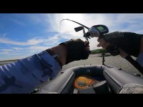 Видео: РЫБАЛКА на ЗМЕЕГОЛОВА и НА САЗАНА !!! Рыбалка с ночёвкой!!!