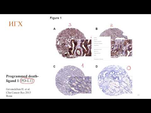 Видео: Часть 6. Экспрессия генов.