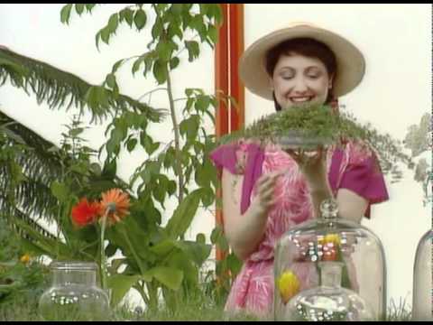 Видео: Бушава азбука - М