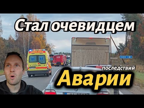 Видео: ✅✅✅Опасная Авария Произошла На Шоссе Рига Лиепая#чеснок #влог #конь #котики