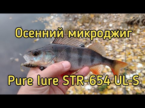 Видео: Осенний микроджиг с тревел спиннингом Pure Lure STR-654 UL-S