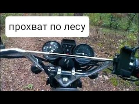 Видео: прохват по лесу, мопед альфа