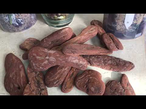 Видео: Красиві практичні посадки орхідей! Як просто і без напруги наростити коріння@Панна Орхідея