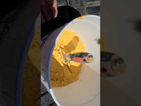 Видео: рецепт приготовления протеиновых лепешек