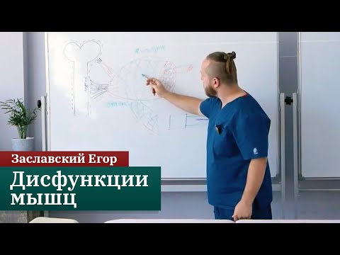 Видео: Дисфункции мышц. Заславский Егор