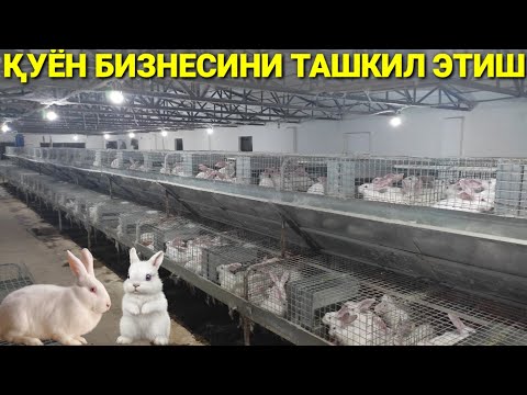 Видео: ҚУЁНЧИЛИКНИ ТАШКИЛ ЭТИШ УЙ ШАРОИТИДА БИЗНЕС