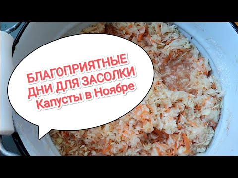 Видео: БЛАГОПРИЯТНЫЕ ДНИ для Засолки Капусты в Ноябре!