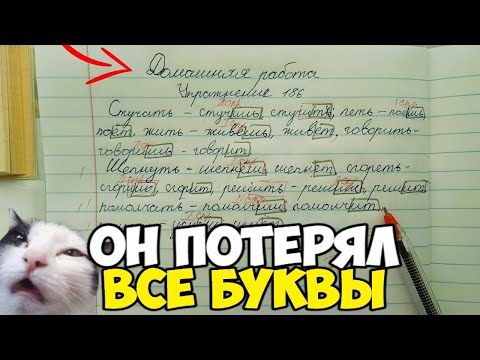 Видео: ПРОВЕРКА ТЕТРАДЕЙ | РУССКИЙ ЯЗЫК | ДОМАШНЯЯ РАБОТА 📝