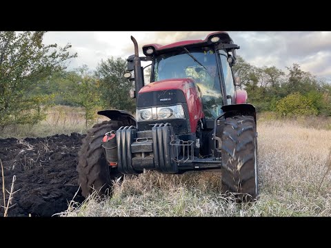 Видео: Трактор на 100Га 🤔 Case Maxxum 125 чи Massey Ferguson 5S ❓  Робота Лемкена по цілині