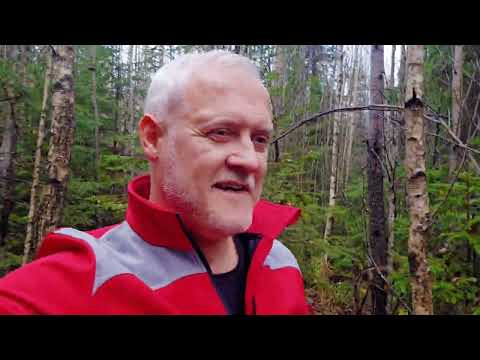 Видео: Зашли проверить грибные места... 28 октября, Латвия // Latvija