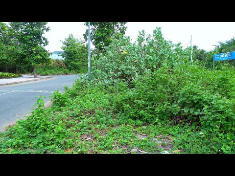 Видео: Затруднённый обзор, небезопасные тротуары. Я вызвался на неожиданную перемену.