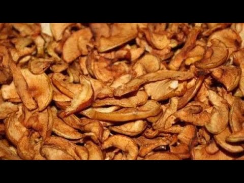 Видео: КУДА МОЖНО ИСПОЛЬЗОВАТЬ СУШЁНЫЕ ЯБЛОКИ ( СТАРЫЕ ЗАПАСЫ)