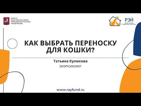 Видео: Как выбрать переноску для кошки?