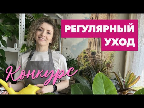 Видео: Мой регулярный уход за комнатными растениями