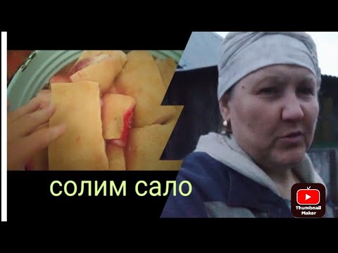 Видео: Живу в деревне//у нас свежина//сделали трубу/21 октября 2023 г.