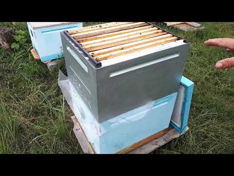 Видео: Осушка рамок после откачки меда.