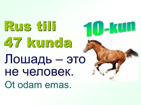 Видео: Рус тили 47 кунда 10-кун.