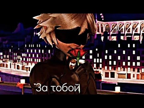 Видео: Клип леди баг и супер кот за тобой