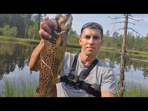 Видео: Пешком до водопада в поисках кумжи,это Карелия.