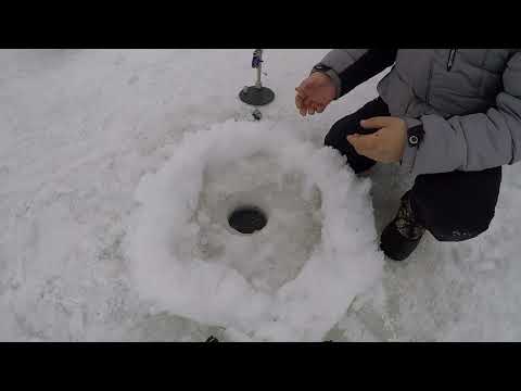 Видео: МҰЗДАН ТАБАН БАЛЫҚ АУЛАУ