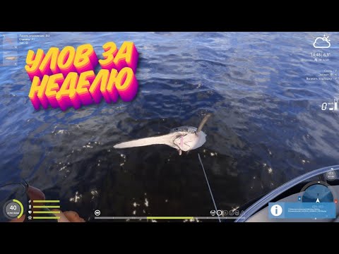 Видео: Морской троллинг #1, Русская Рыбалка 4 / Russian Fishing 4 #rf4 #рр4 