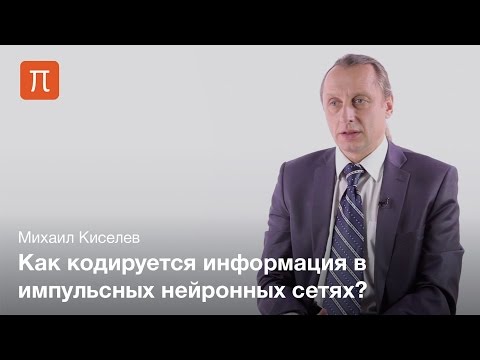 Видео: Самоорганизация импульсных нейронных сетей — Михаил Киселев