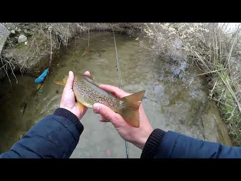 Видео: Риболов на балканска пъстърва 2019