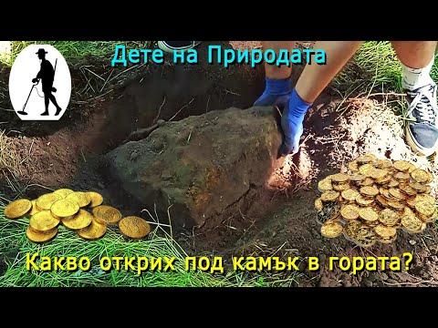 Видео: #Епизод 1 - "Какво открих под заровен камък в гората" !?