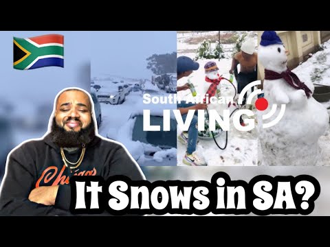 Видео: АМЕРИКАНСКАЯ РЕАКЦИЯ на сборник «Ещё больше южноафриканской жизни» (4 в 1) 🇿🇦