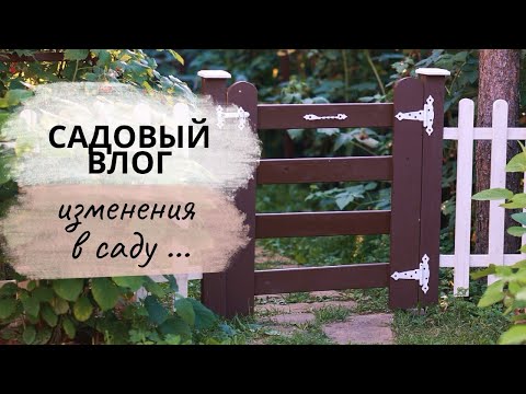 Видео: Как изменился мой сад #сад #садовыйдекор #обзорсада