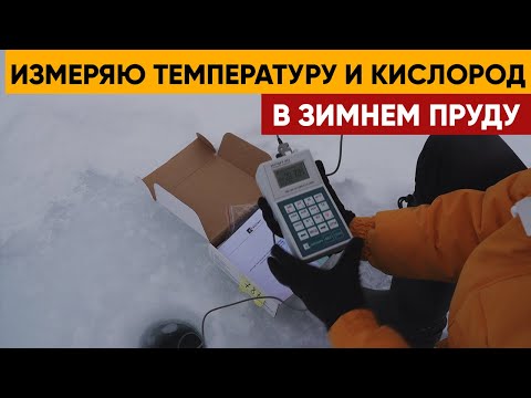 Видео: Измеряю температуру и кислород в пруду подо льдом. Результат удивил. Кислорода в пруду море.