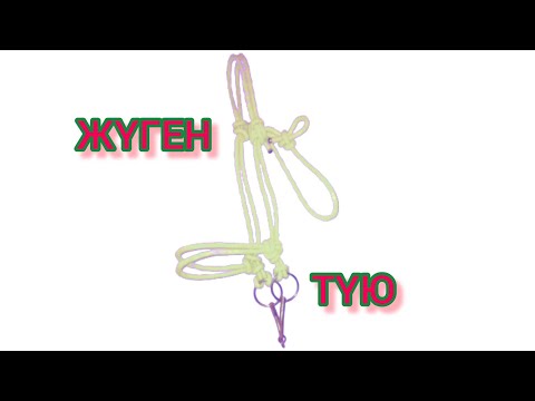 Видео: Жүген түю тәсілдері жылқыға