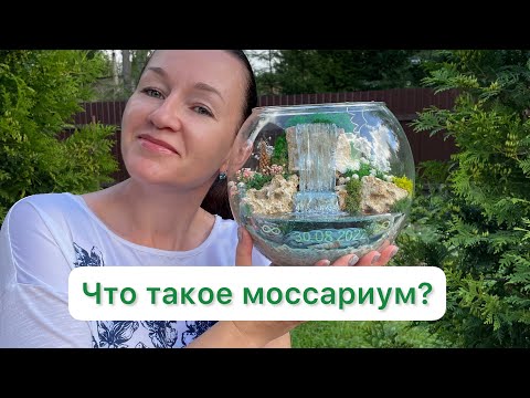 Видео: Какие бывают моссариумы. Из чего делаются. Моссариум-перевертыш по закрепленной технологии.