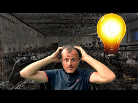 Видео: Через проблеми з світлом 💡ніхто мʼясо не купляє🤷‍♂️