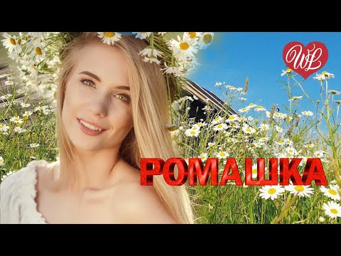 Видео: РОМАШКА У НАТАШКИ ♫ РУССКИЙ НАРОДНЫЙ ХИТ ♫ НАРОДНЫЕ ПЕСНИ ДЛЯ ДУШИ WLV ♫ RUSSISCHE MUSIK ♫ RUSSIAN M