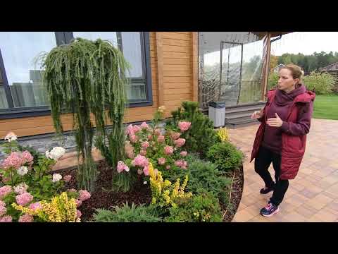 Видео: Сад за 1 500 000 рублей