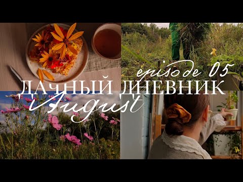 Видео: 🌱 дачный дневник 05. Август на даче: урожай, торт с цветами и итоги лета