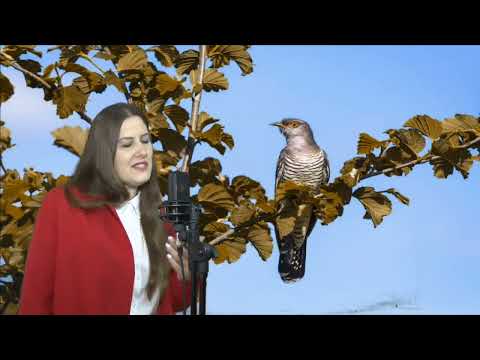 Видео: Аромат любви осенней, сл Е Корвин муз Ирена Мирель, аранж @КонстантинДерр-ъ8ш исп Татьяна Марченко