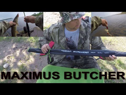Видео: ОБЗОР И ЛОВЛЯ НА СПИННИНГ "MAXIMUS BUTCHER"