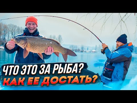 Видео: ШОК! НЕВОЗМОЖНО ДОСТАТЬ ЭТУ РЫБУ! КТО ЭТО?