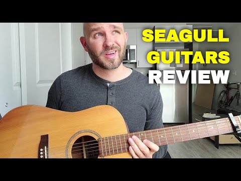Видео: Обзор акустической гитары Seagull | Нравится и не нравится