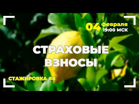 Видео: Учет страховых взносов: от расчета до отчета.