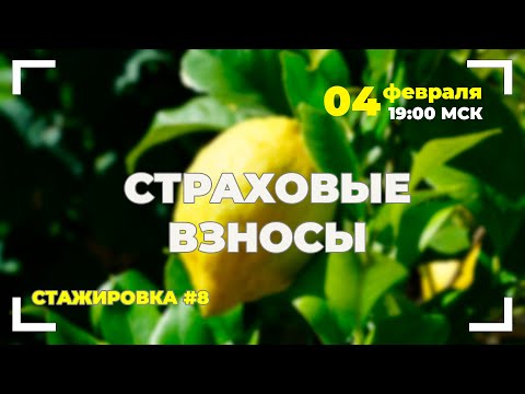 Видео: #8 Учет страховых взносов: от расчета до отчета.