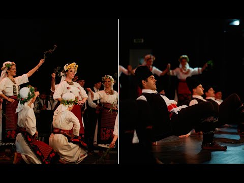 Видео: Ансамбл ВИЛА Нови Сад - Неготински мотиви (Фестивал златних ансамбала 2022)