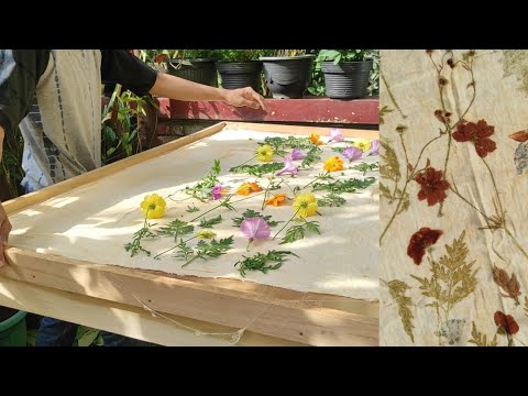 Видео: Учебное пособие по экопечати с полевыми цветами 🌿🌻🌼