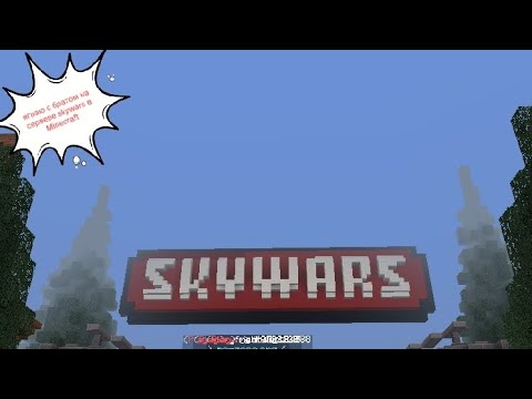 Видео: играю с братом на сервере в Sky Wars в Minecraft